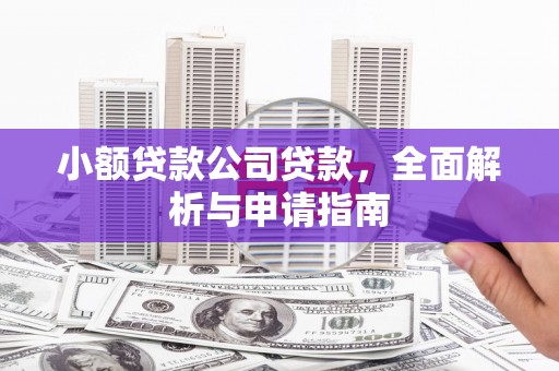 吴兴小额贷款公司贷款，全面解析与申请指南