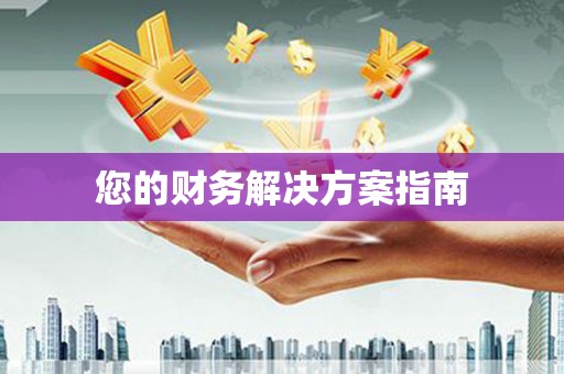 吴兴您的财务解决方案指南