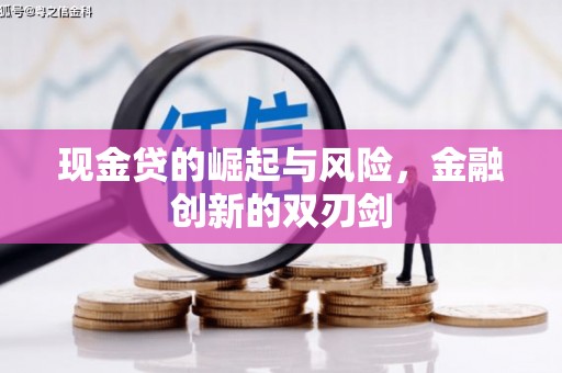 吴兴现金贷的崛起与风险，金融创新的双刃剑