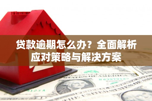 吴兴贷款逾期怎么办？全面解析应对策略与解决方案