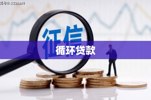 吴兴循环贷款