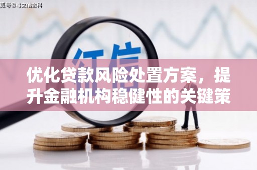 吴兴优化贷款风险处置方案，提升金融机构稳健性的关键策略