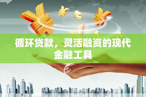 吴兴循环贷款，灵活融资的现代金融工具