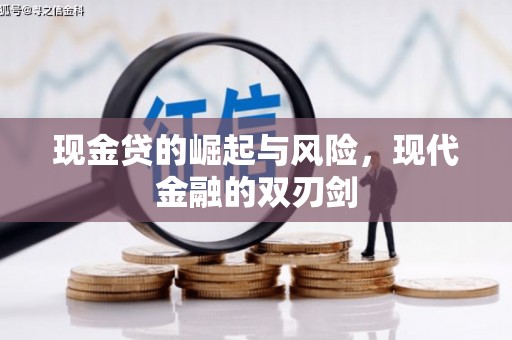 吴兴现金贷的崛起与风险，现代金融的双刃剑