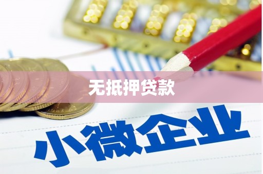吴兴无抵押贷款
