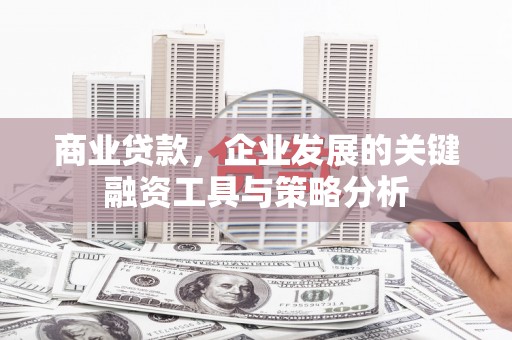 吴兴商业贷款，企业发展的关键融资工具与策略分析