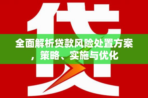 吴兴全面解析贷款风险处置方案，策略、实施与优化