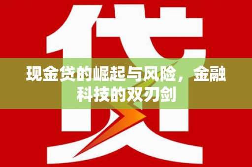 吴兴现金贷的崛起与风险，金融科技的双刃剑
