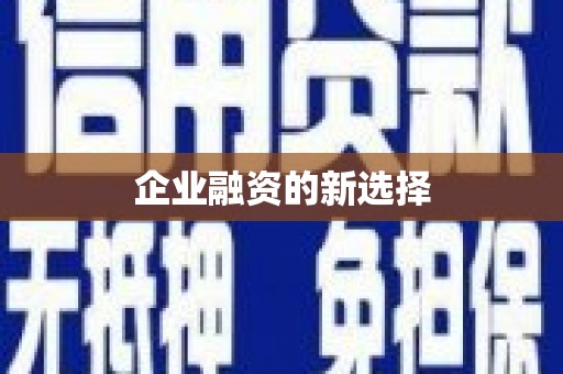 吴兴企业融资的新选择