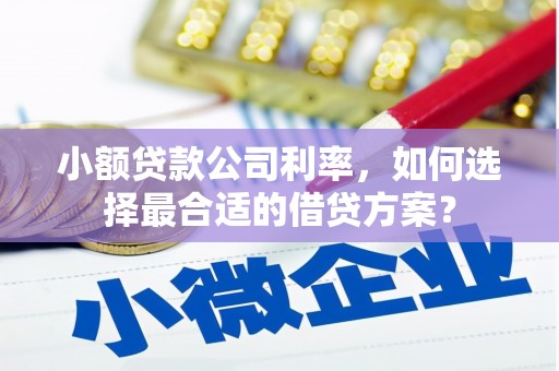 吴兴小额贷款公司利率，如何选择最合适的借贷方案？