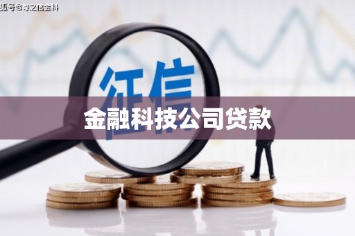 吴兴金融科技公司贷款