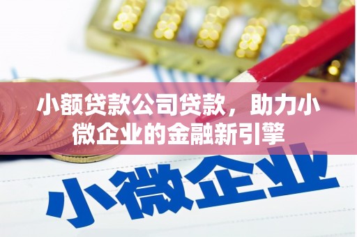 吴兴小额贷款公司贷款，助力小微企业的金融新引擎