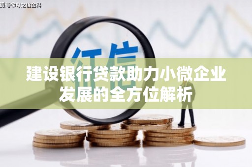 吴兴建设银行贷款助力小微企业发展的全方位解析