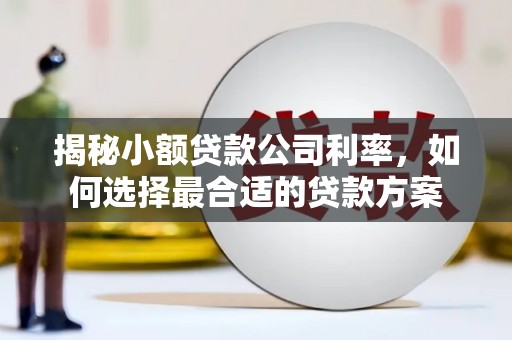 吴兴揭秘小额贷款公司利率，如何选择最合适的贷款方案