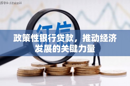 吴兴政策性银行贷款，推动经济发展的关键力量
