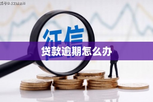 吴兴贷款逾期怎么办