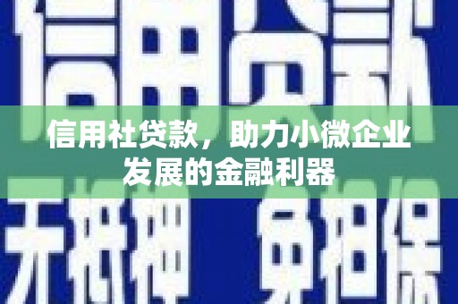 吴兴信用社贷款，助力小微企业发展的金融利器