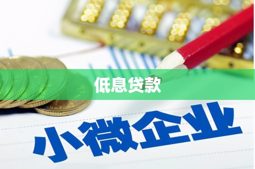 吴兴低息贷款