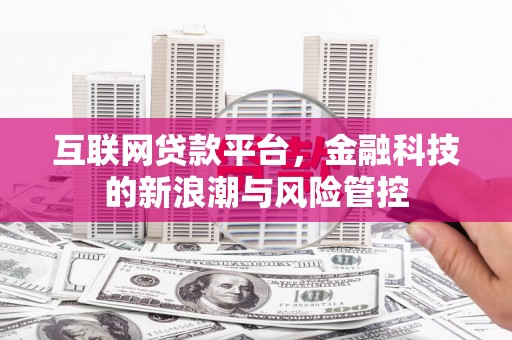 吴兴互联网贷款平台，金融科技的新浪潮与风险管控