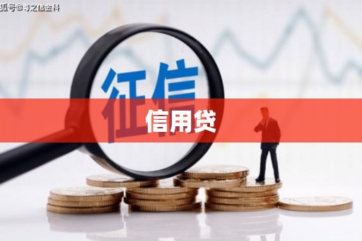 吴兴信用贷