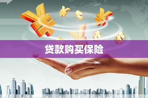 吴兴贷款购买保险
