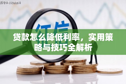 吴兴贷款怎么降低利率，实用策略与技巧全解析