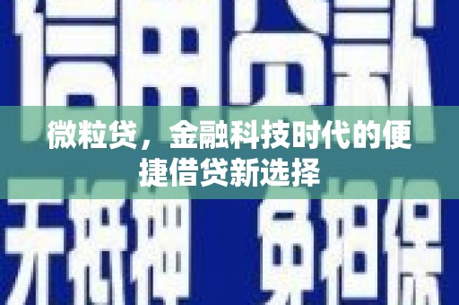 吴兴微粒贷，金融科技时代的便捷借贷新选择