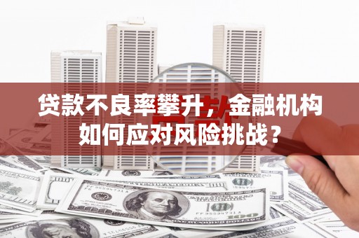吴兴贷款不良率攀升，金融机构如何应对风险挑战？