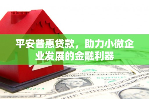 吴兴平安普惠贷款，助力小微企业发展的金融利器
