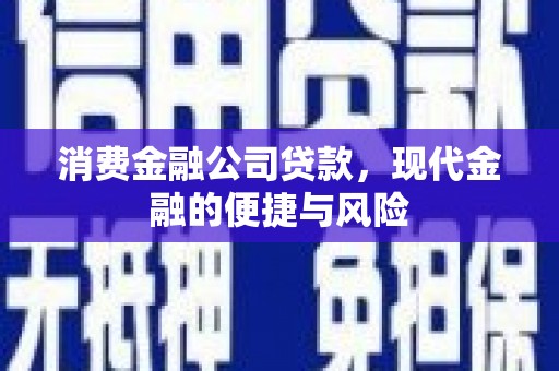 吴兴消费金融公司贷款，现代金融的便捷与风险
