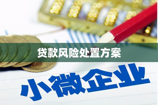 吴兴贷款风险处置方案