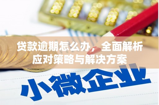 吴兴贷款逾期怎么办，全面解析应对策略与解决方案