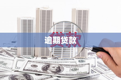 吴兴逾期贷款