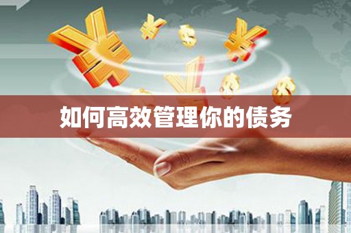 吴兴如何高效管理你的债务