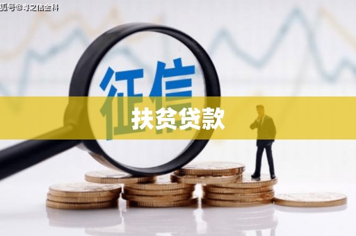 吴兴扶贫贷款