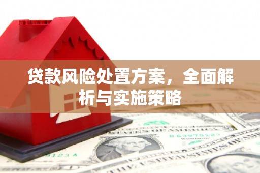 吴兴贷款风险处置方案，全面解析与实施策略