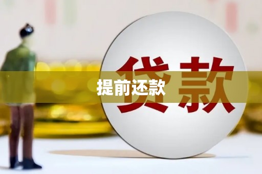 吴兴提前还款