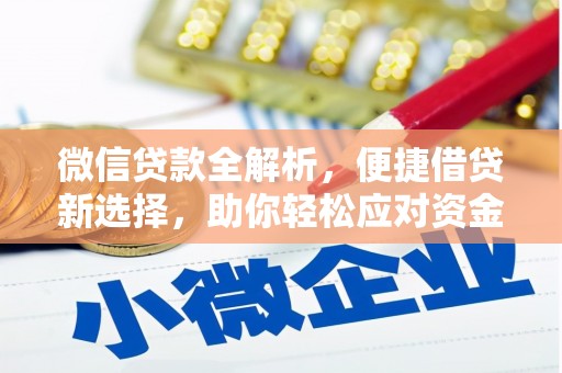 吴兴微信贷款全解析，便捷借贷新选择，助你轻松应对资金需求